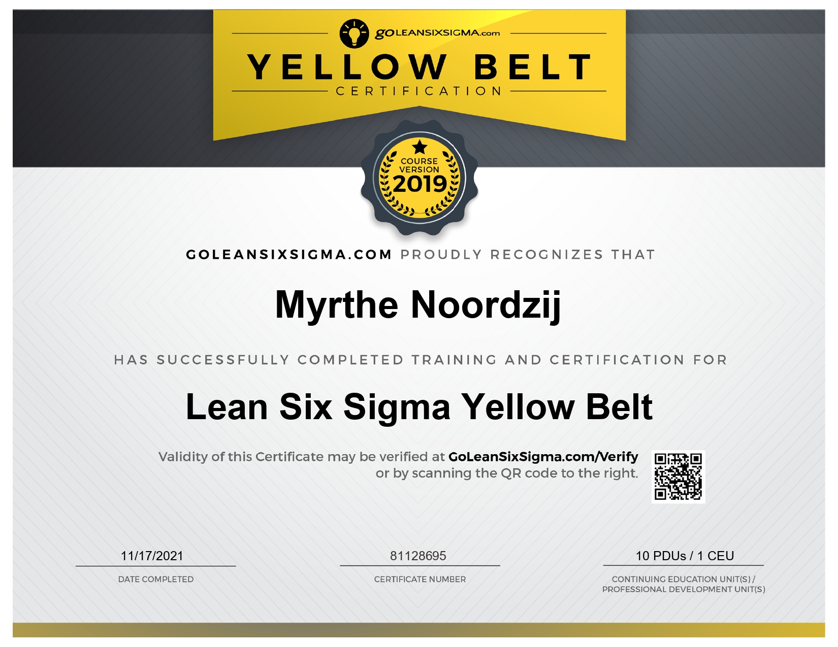 Lean Six Sigma Yellow Belt - goleansixsigma.com